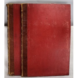 Interpretatio Obeliscorum Urbis ad Gregorium XVI (2 volumes)